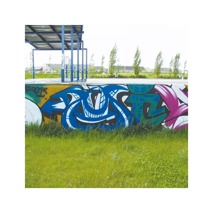 HG GRAFFITI REMOVER